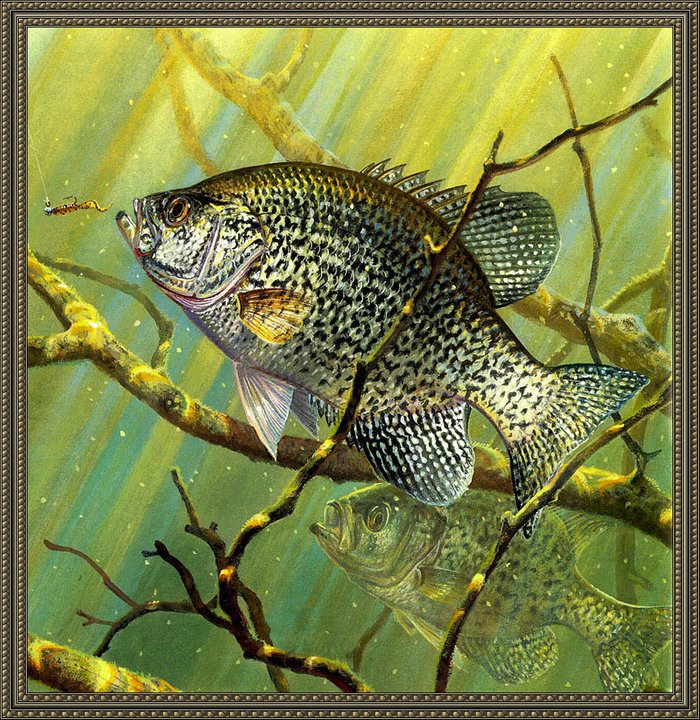 art0066